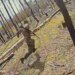 Безжалостный марафон: операторы SIGNUM заставили оккупантов сдавать нормы по бегу в лесах Лиманщины. ВИДЕО