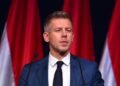 Зачем Петер Мадьяр поднимает вопрос венгров в Украине: объяснение эксперта