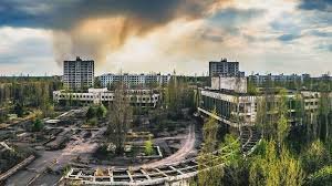 Чорнобильські поля смерті: на Київщині викрили мільйонну земельну схему
