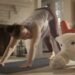 Этот робот ведет себя как животное: что известно о Familiar от iRobot