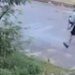 Грабіж серед білого дня: у Києві зухвало напали на 65-річну жінку