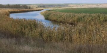 Житель Херсона помогал оккупантам грабить лодки: что решил суд?