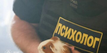 Кілька тварин загинули внаслідок ворожого удару по зоопарку в Харкові