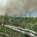 Пожежу в заповіднику на Житомирщині гасили чотири доби після атаки рф
