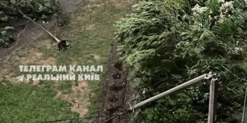 Столица уходит под воду: ураганный ветер и ливень погрузили Киев во тьму. ВИДЕО