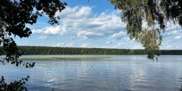 Жара до +38 идет в Украину: синоптик назвала самые горячие области