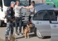 В Крыму и Севастополе оккупанты ввели режим чрезвычайной ситуации