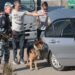 В Крыму и Севастополе оккупанты ввели режим чрезвычайной ситуации