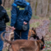 Десятки людей, шахеди і собаки: на Київщині тривала пошукова операція, – ФОТО