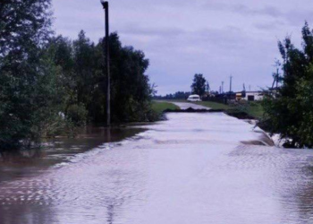 Київщина після сильної зливи: які райони затопило, – ФОТО