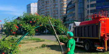 Райські куточки природи на вулицях Києва: як триває озеленення, – ФОТО