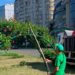 Райські куточки природи на вулицях Києва: як триває озеленення, – ФОТО
