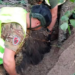 Удар із неба – падіння із вибухом: в Києві перекрили небезпечну зону, – ФОТО