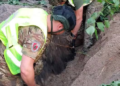 Величезна яма й загроза вибуху в Києві: куди влучила російська ракета, – ФОТО