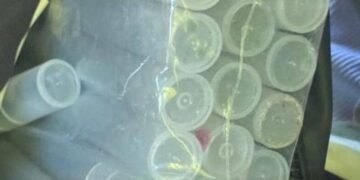 Чергова небезпека у Києві: наркодилер ховав закладки у лісосмузі