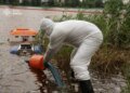 У Києві з озера Кирилівського відкачали 25 кубометрів нафтопродуктів після атаки рф. Фіксують загибель риби, птахів та жаб