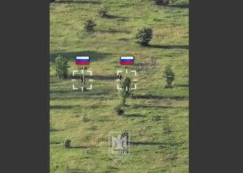 Смирились и даже не убегали: российские солдаты предпочитают тактику несопротивления  удар БПЛА. ВИДЕО