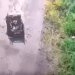 Дроны против дронов: украинский FPV-дрон закрыл собой раненого побратима от вражеского удара. ВИДЕО