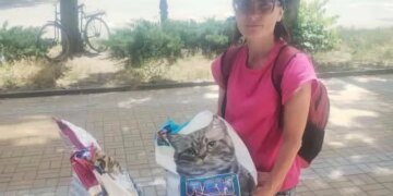 У Дружківці від удару КАБу загинула волонтерка Ольга Кузьменко та тварини, яких вона годувала