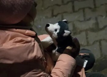 Из-за войны без вести пропали 2 365 детей, – данные полиции