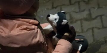Из-за войны без вести пропали 2 365 детей, – данные полиции
