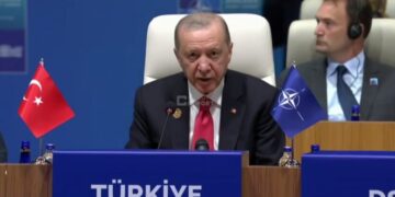 Эрдоган на саммите НАТО заявил о поддержке Украины и намерениях повлиять на Россию