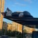 Чому на зупинках Києва з’явилися величезні коти: у КМДА дали відповідь