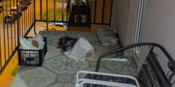 Французький бульдог загинув у спеку: нові подробиці резонансної історії в Києві