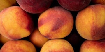 Свіжі овочі, фрукти та фермерська продукція: у Києві стартують сезонні ярмарки