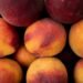 Свіжі овочі, фрукти та фермерська продукція: у Києві стартують сезонні ярмарки