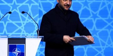 Зеленский на саммите НАТО назвал причину, почему Украина должна войти в Альянс