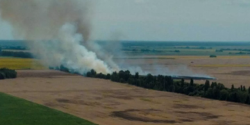 Знищений врожай і сильне задимлення: на Київщині сталось екологічне лихо, – ФОТО