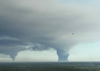 Украинские дроны атаковали склады Wildberries: Подмосковье затянуло дымом от пожара