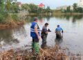 Друге забруднення за місяць: в Києві фіксують загибель риби та птахів