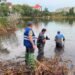 Друге забруднення за місяць: в Києві фіксують загибель риби та птахів