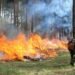 Надзвичайна пожежна небезпека: які райони Київщини опинилися в зоні ризику