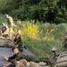 Расследователи раскрыли реальную статистику потерь среди срочников в Курской облсти