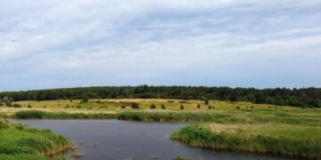 Прокуратура вернула государству 20,4 га природно-заповедных земель, которые фермер незаконно арендовал с 2021 года