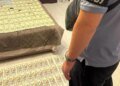 За 15 тысяч долларов обещали «рак» и группу инвалидности — схему уклонения от мобилизации раскрыли в Житомире