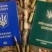 Военных доставляют в учебные центры без паспортов –  омбудсмен бьет тревогу