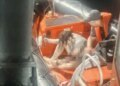 У Румунії заявили про затонуле судно після пожежі в Чорному морі, моряки повідомляли про дрон
