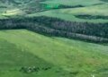 «Хартия» освободила 2 квадратных километра леса в Харьковской области: военные показали видео