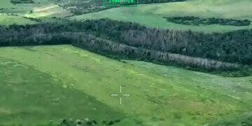 «Хартия» освободила 2 квадратных километра леса в Харьковской области: военные показали видео