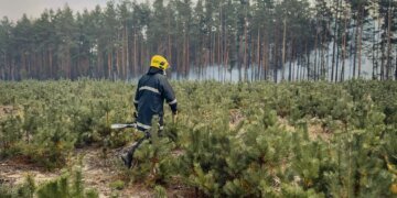 Київщина у вогні: триває масштабна лісова пожежа