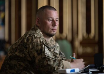 Палиса поставил точку в вопросе своей кандидатуры на посла в США
