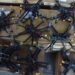 “Мяч на стороне США”: у Зеленского рассказали, на каком этапе находится Drone Deal