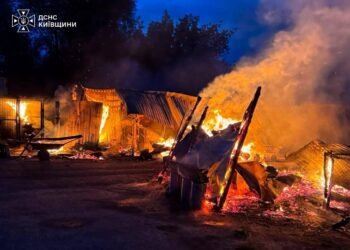 На Київщині серед ночі спалахнув притулок для тварин: вогонь знищив 20 вольєрів