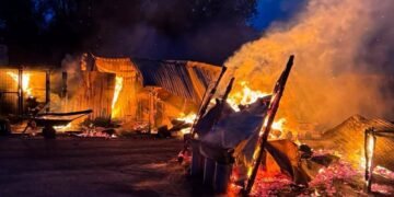 На Київщині серед ночі спалахнув притулок для тварин: вогонь знищив 20 вольєрів