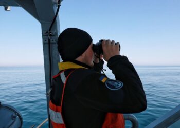 Украинские дроны потопили теплоход Yanina “Росатома” в Черном море