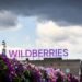 Украина вывела из строя 7 из 10 крупнейших центров Wildberries, – Минобороны